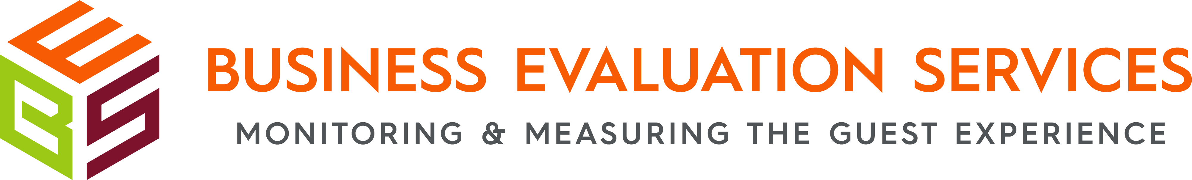 Business Evaluation Services Logo