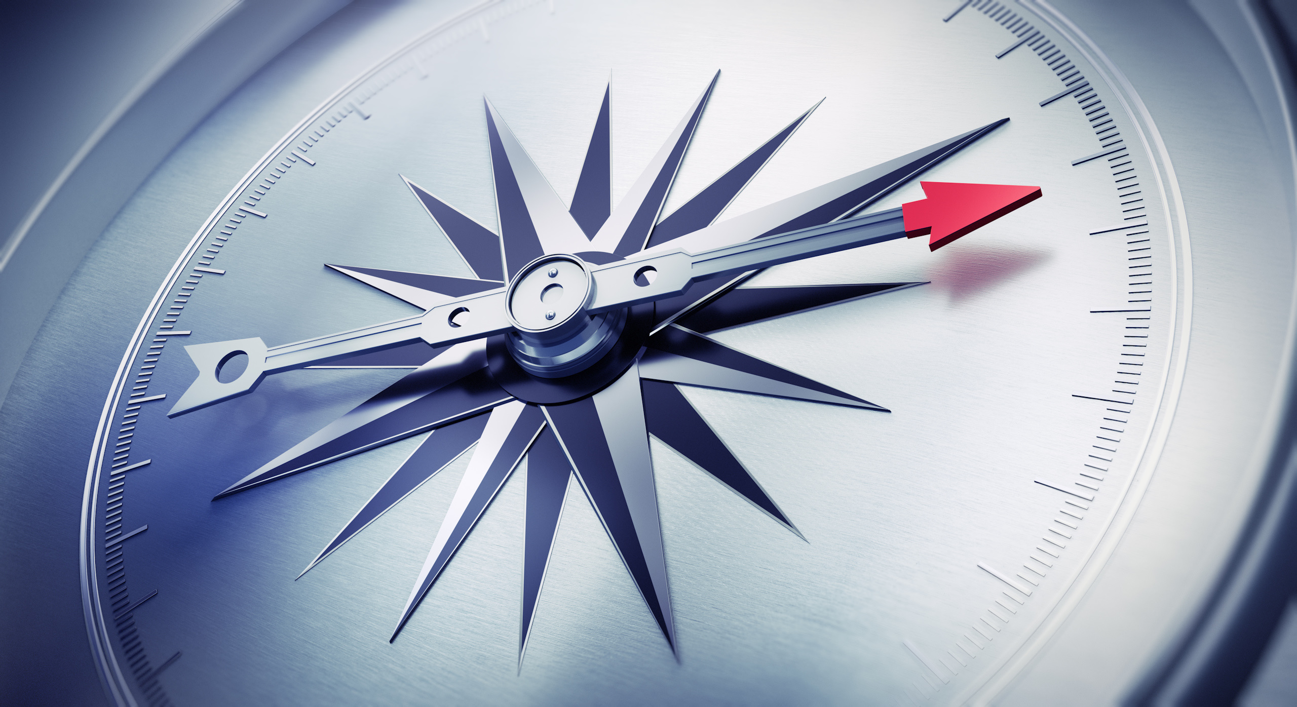 Compass panel background
